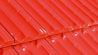 Red (CEIPO)