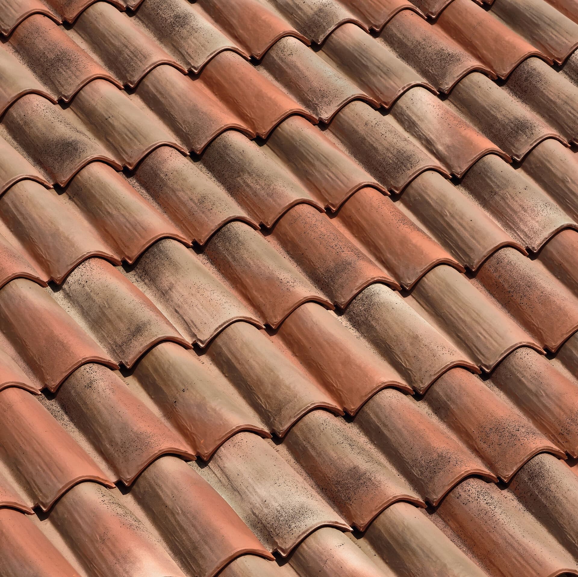 Rustico Andaluso(BMI BRAAS)